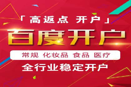 百度推广平台在旅游行业的应用案例